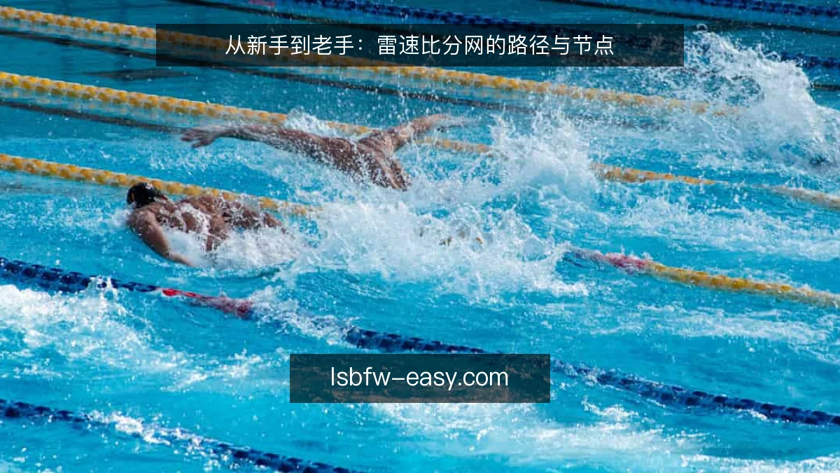 从新手到老手:雷速比分网的路径与节点