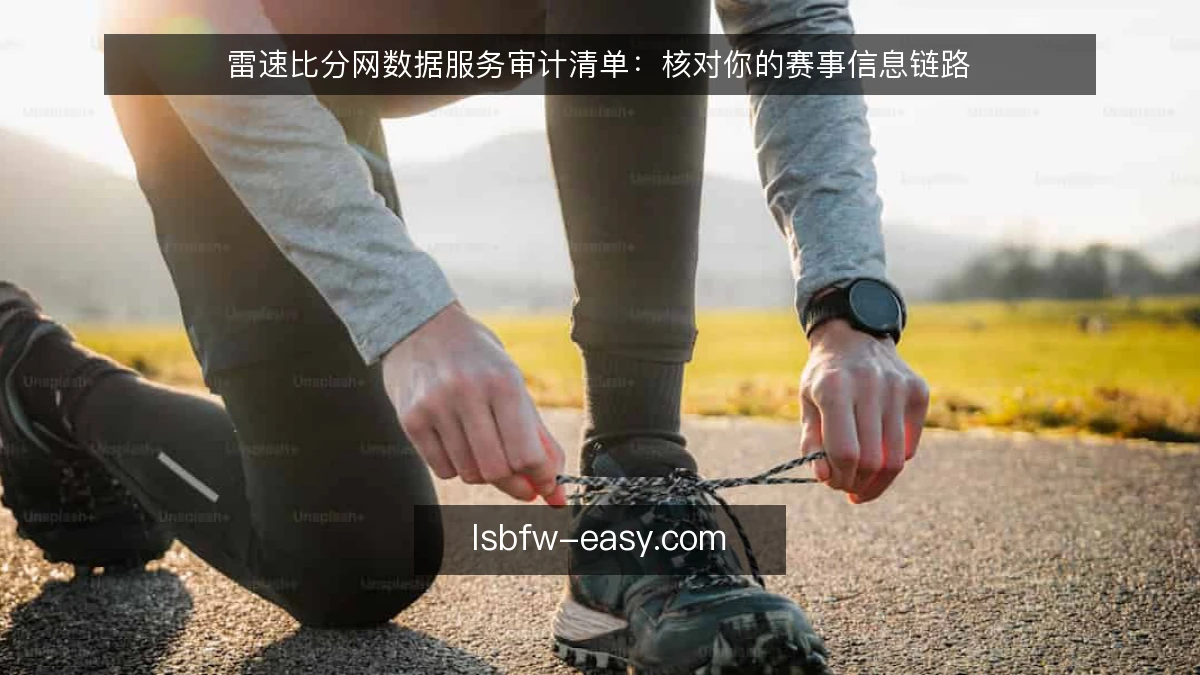 雷速比分网数据服务审计清单：核对你的赛事信息链路